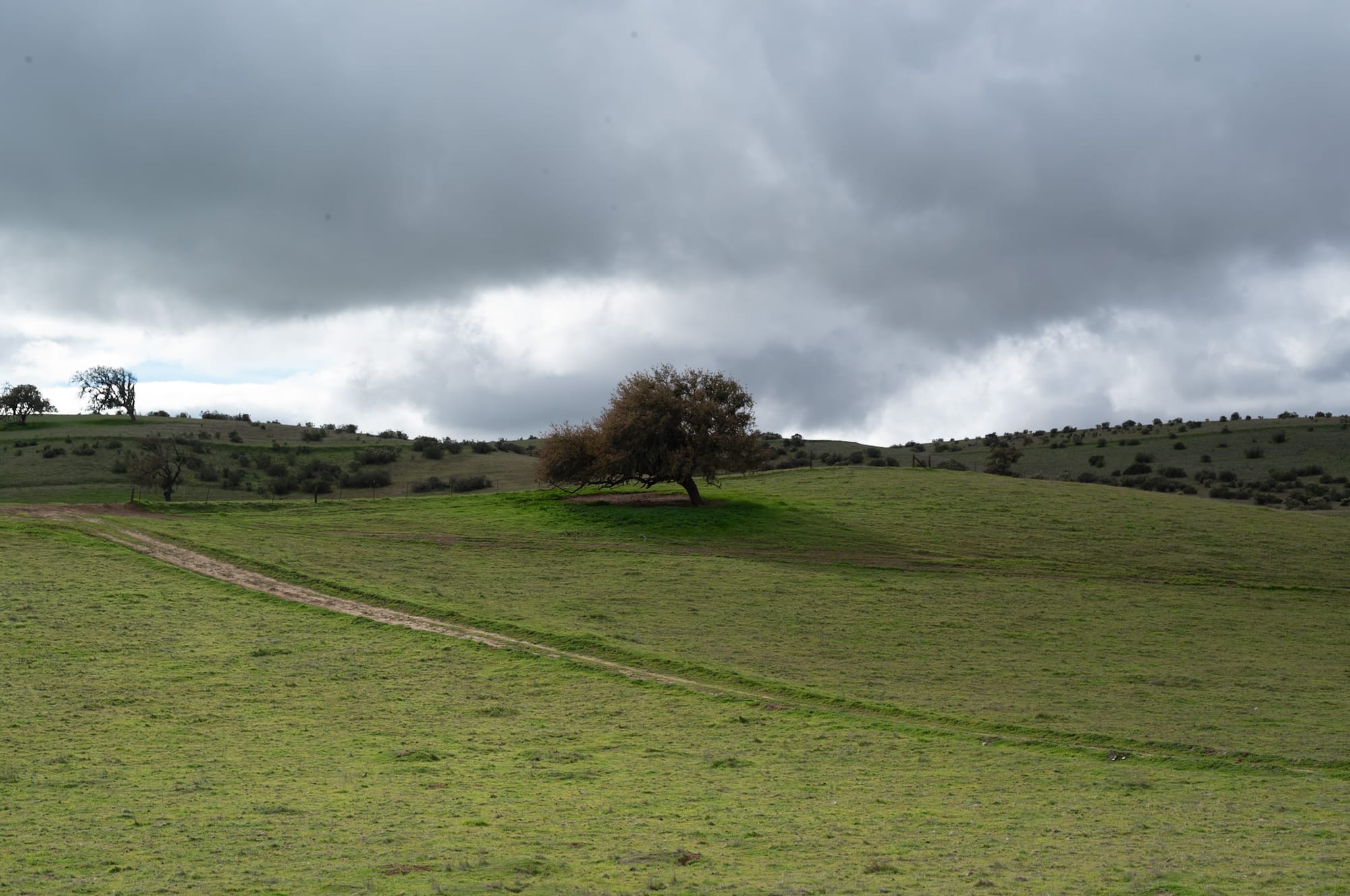Central Valley
