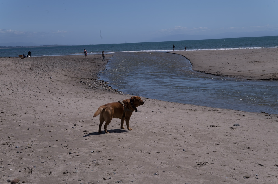 Seaside